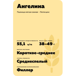 АНГЕЛИНА