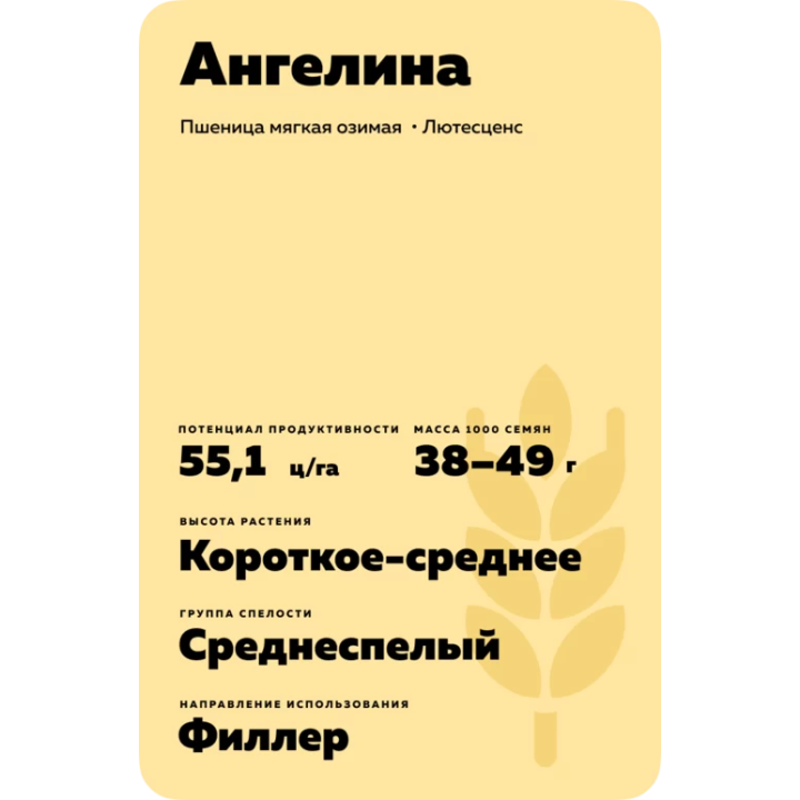 АНГЕЛИНА
