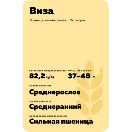 ВИЗА