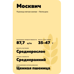 МОСКВИЧ