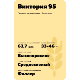 ВИКТОРИЯ 95