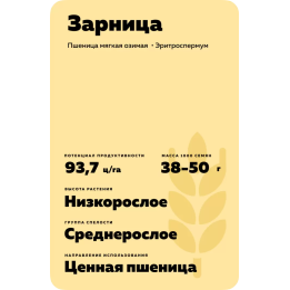 ЗАРНИЦА