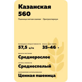 КАЗАНСКАЯ 560
