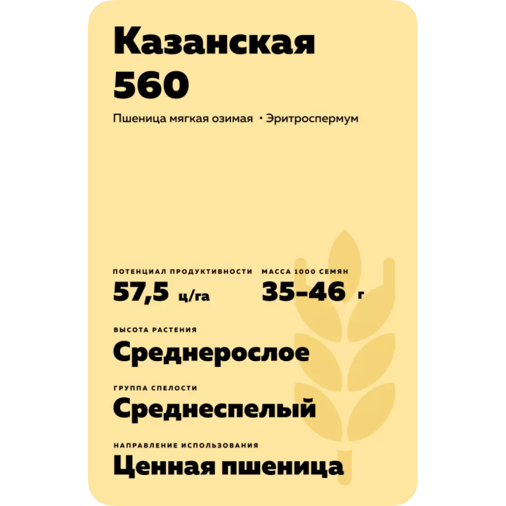 КАЗАНСКАЯ 560