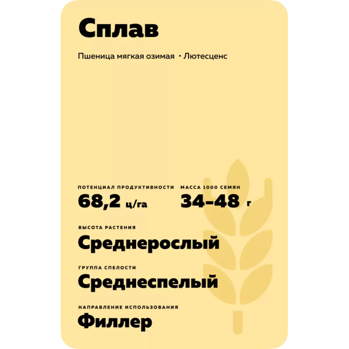 СПЛАВ