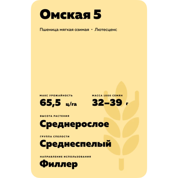 ОМСКАЯ 5