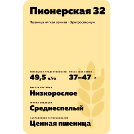 ПИОНЕРСКАЯ 32