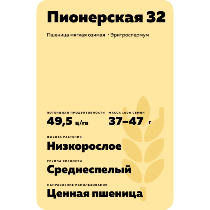 ПИОНЕРСКАЯ 32