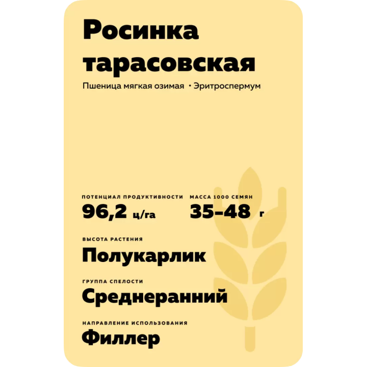 РОСИНКА ТАРАСОВСКАЯ