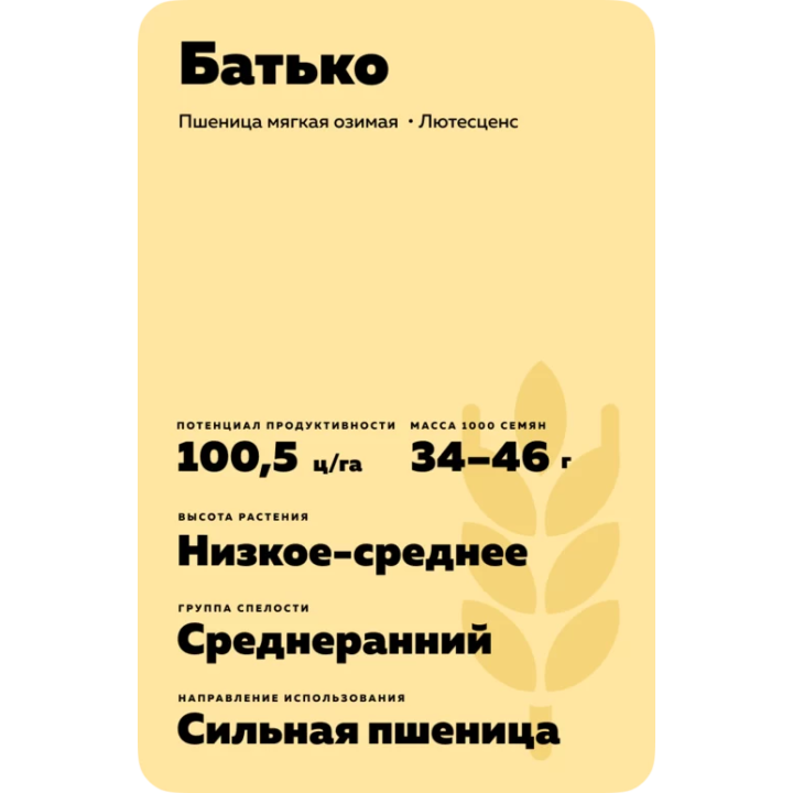 БАТЬКО