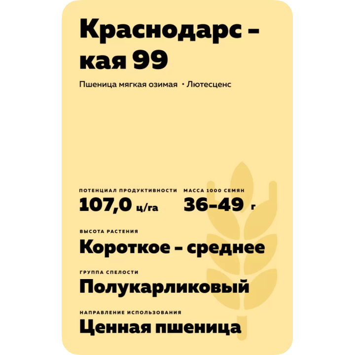 КРАСНОДАРСКАЯ 99