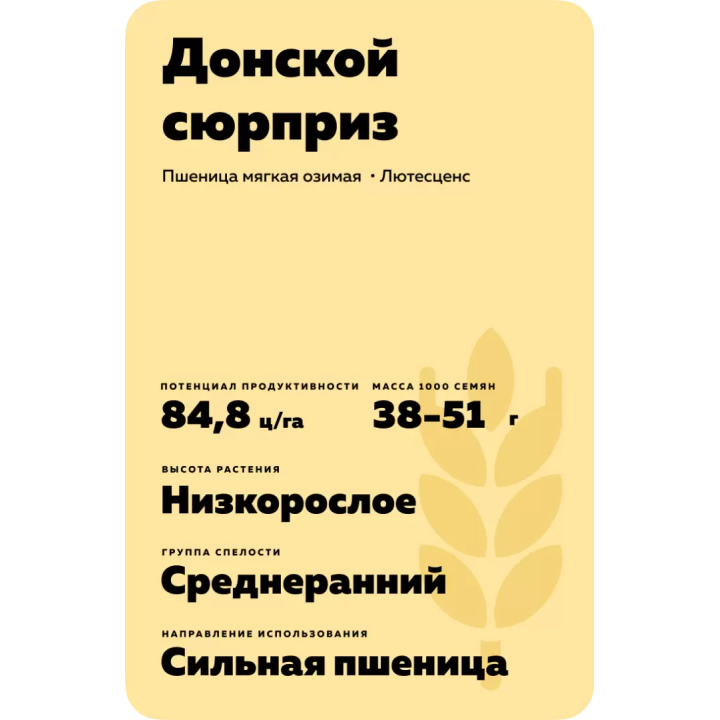 ДОНСКОЙ СЮРПРИЗ