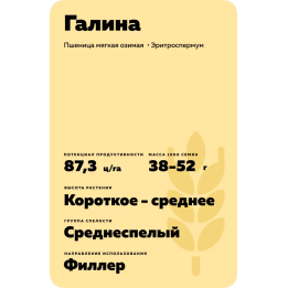 ГАЛИНА