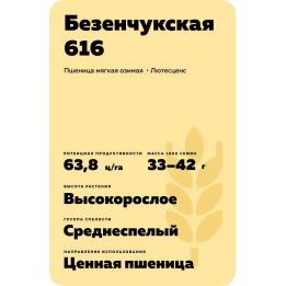 БЕЗЕНЧУКСКАЯ 616
