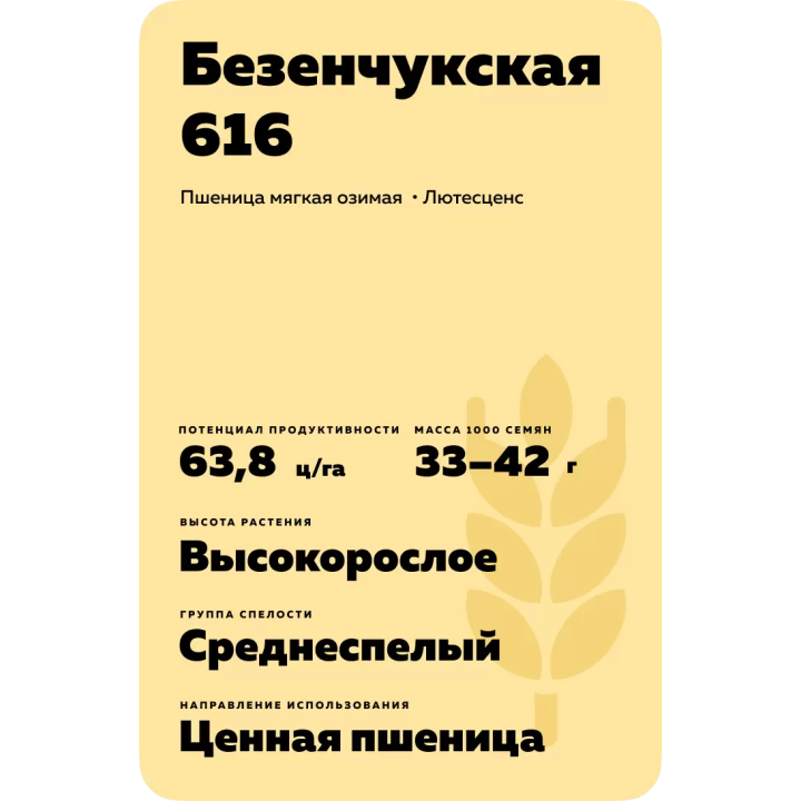 БЕЗЕНЧУКСКАЯ 616