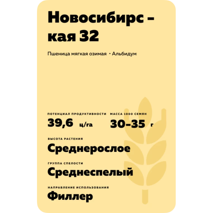 НОВОСИБИРСКАЯ 32