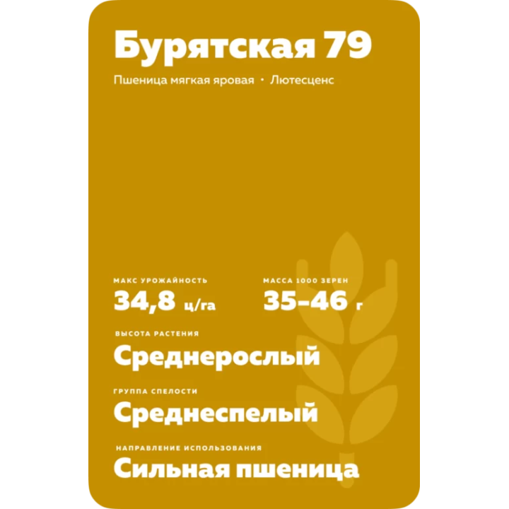 БУРЯТСКАЯ 79