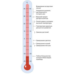 ТЕМП