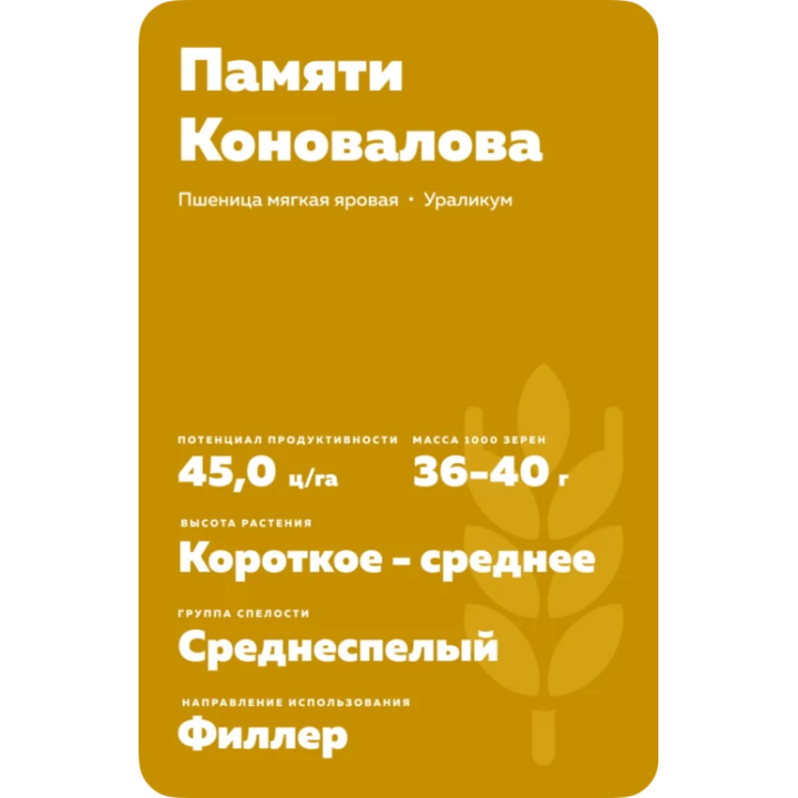 ПАМЯТИ НИКОНОВА