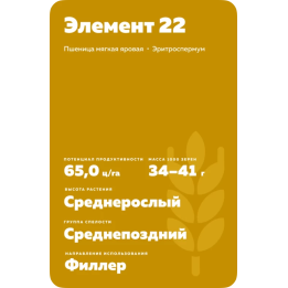 ЭФ 22