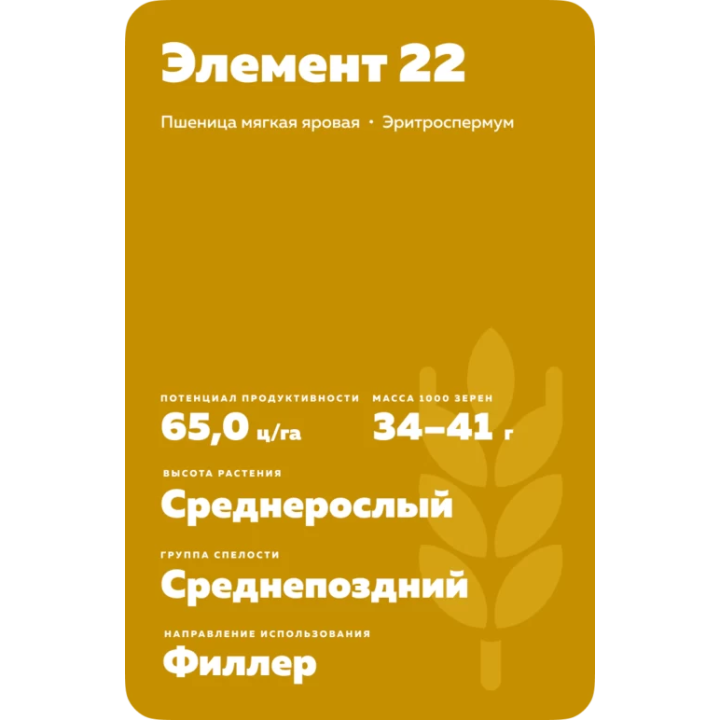 ЭФ 22