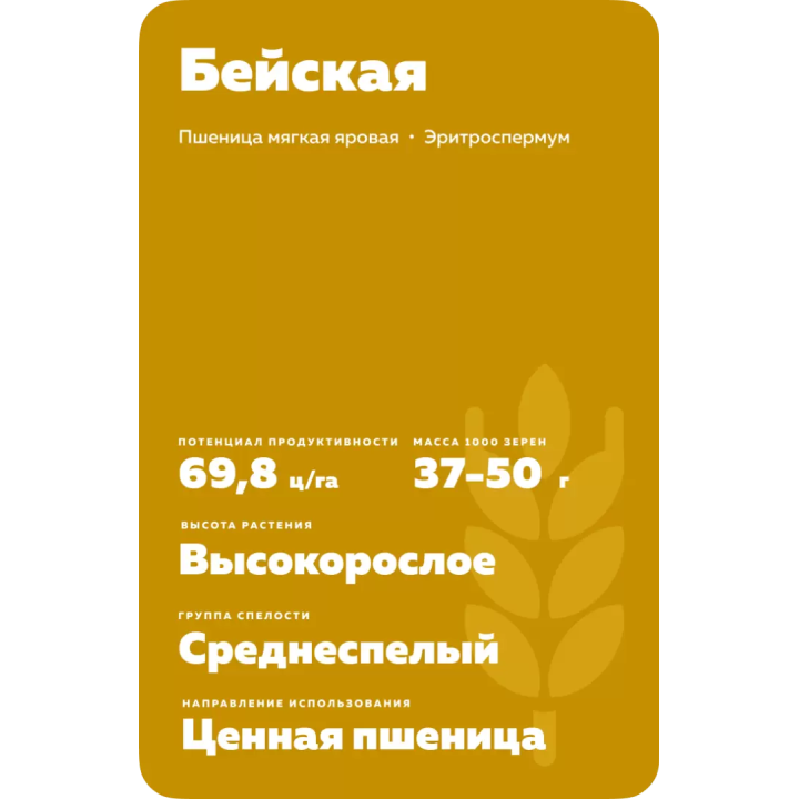 БЕЙСКАЯ