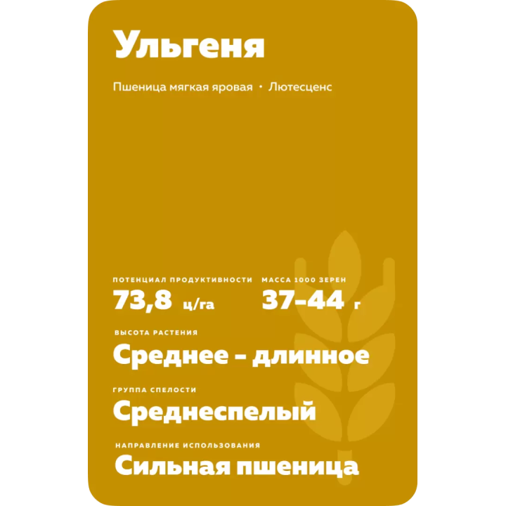 УЛЬГЕНЯ