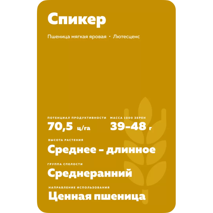 СПИКЕР