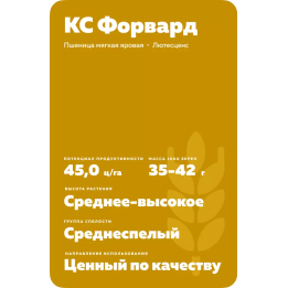КС ФОРВАРД