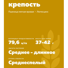 ОМСКАЯ КРЕПОСТЬ