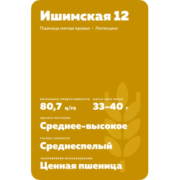 ИШИМСКАЯ 12