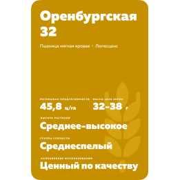 ОРЕНБУРГСКАЯ 32