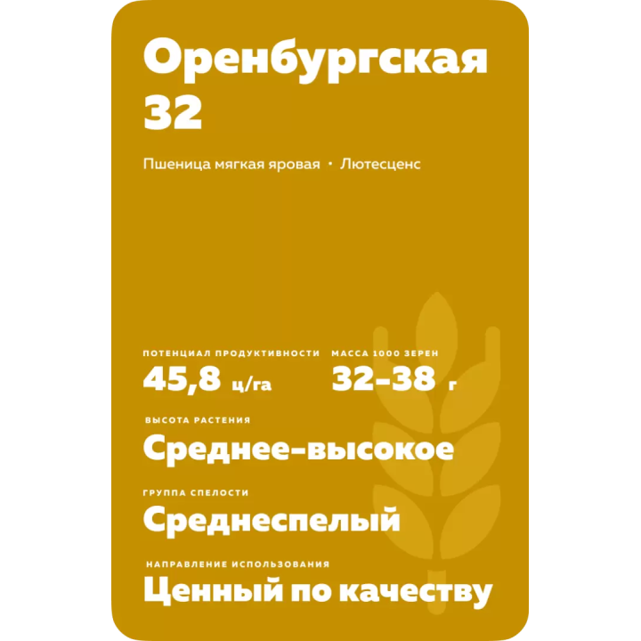 ОРЕНБУРГСКАЯ 32