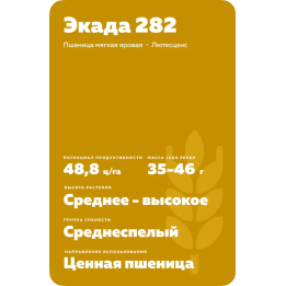 ЭКАДА 282