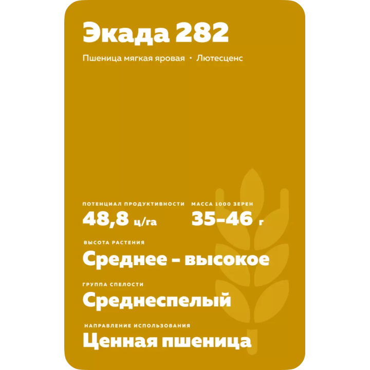 ЭКАДА 282