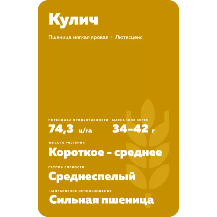 КУЛИЧ