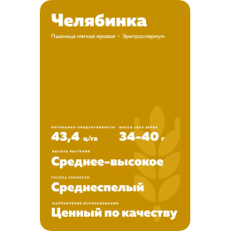ЧЕЛЯБИНКА