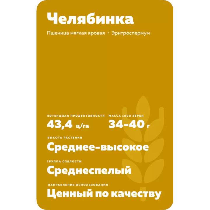 ЧЕЛЯБИНКА