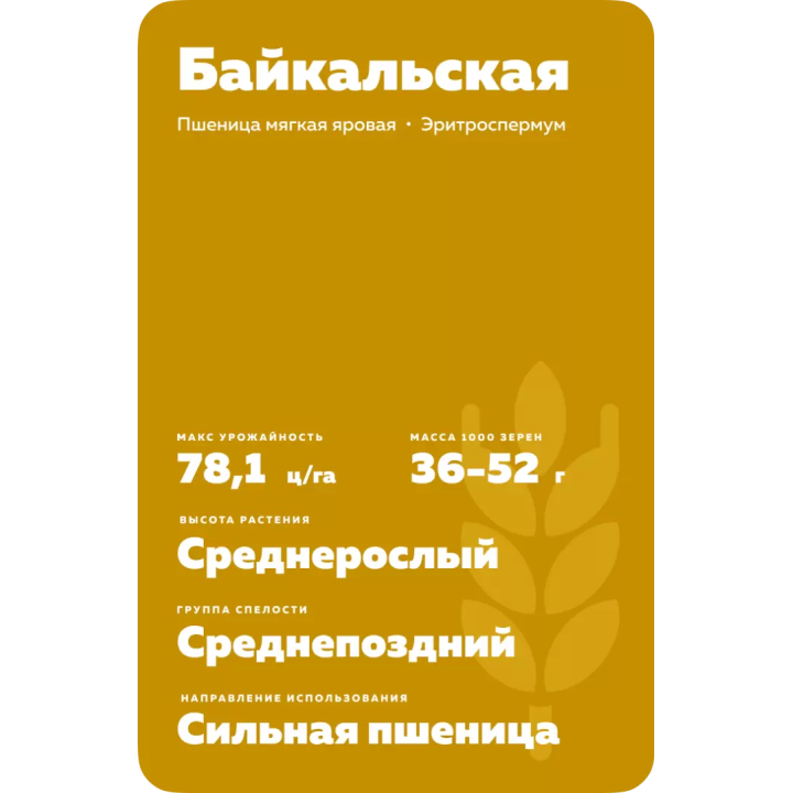 БАЙКАЛЬСКАЯ