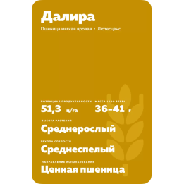 ДАЛИРА