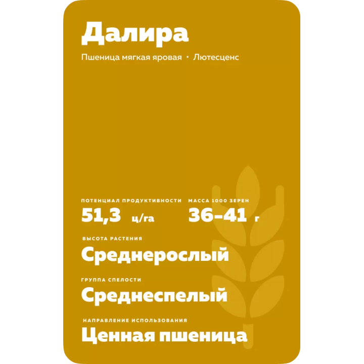 ДАЛИРА