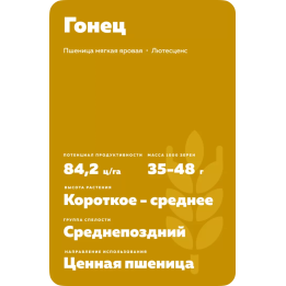 ГОНЕЦ