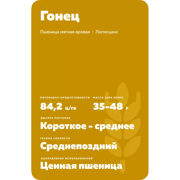 ГОНЕЦ