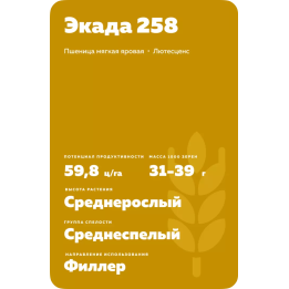 ЭКАДА 258