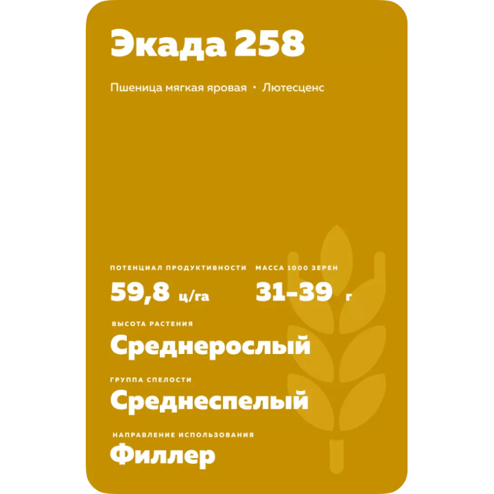 ЭКАДА 258
