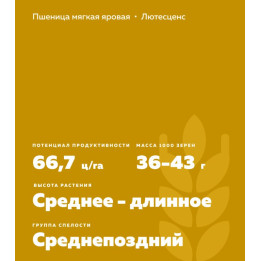 ЭКАДА 253