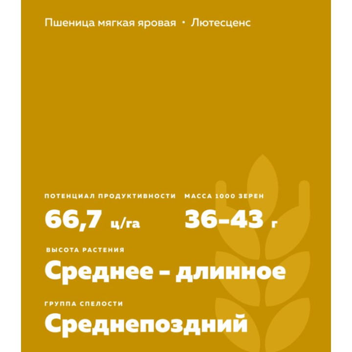 ЭКАДА 253