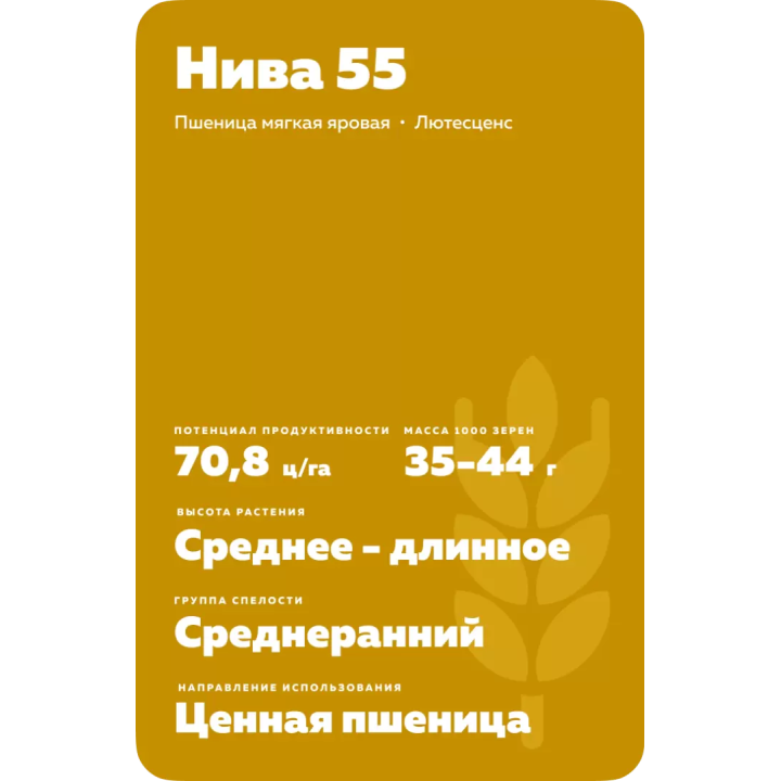 НИВА 55