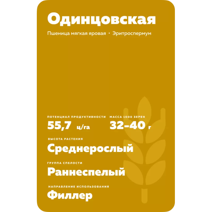 ОДИНЦОВСКАЯ