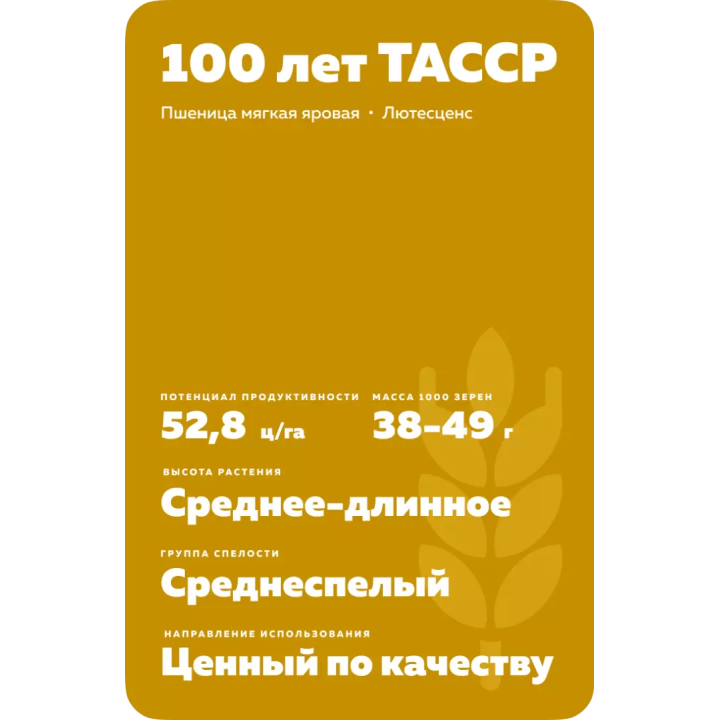 100 ЛЕТ ТАССР